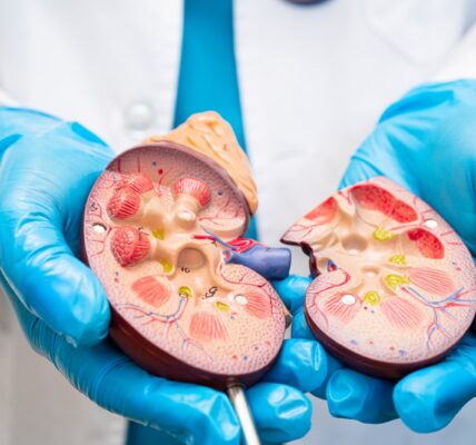 Jakie są objawy i leczenie chorób nerek? 5 nerki